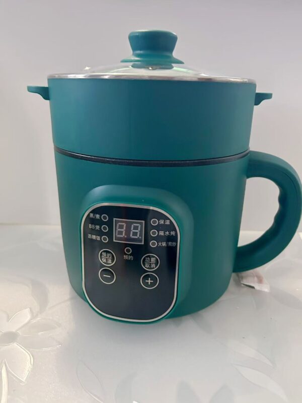 Multifunctional Electric Hot Pot 多功能电煮锅