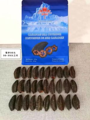 Ocean Genius 30头北极桶参