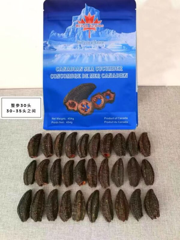 Ocean Genius北极参 Ocean Genius 30头北极桶参